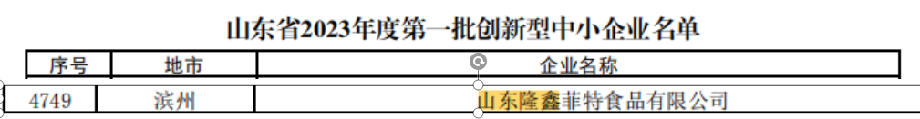 子公司菲特公司榮獲“市級(jí)創(chuàng)新性中小企業(yè)”稱(chēng)號(hào)